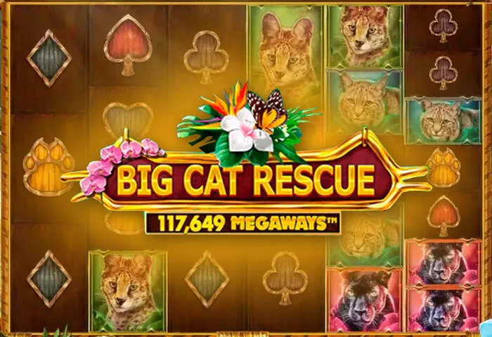 Vasta selezione di Bonanzacity Casino Slots per un divertimento senza fine.