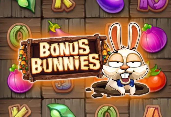 Condiciones del Bono De Bonanzacity Casino explicadas.